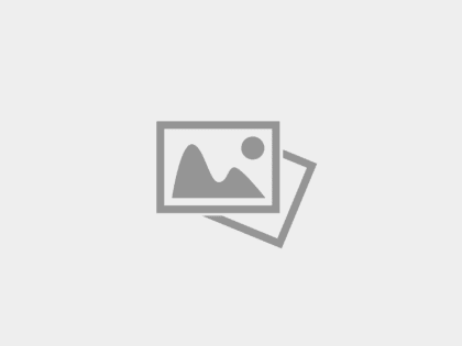 Сведения об Обществе не включены в РНП